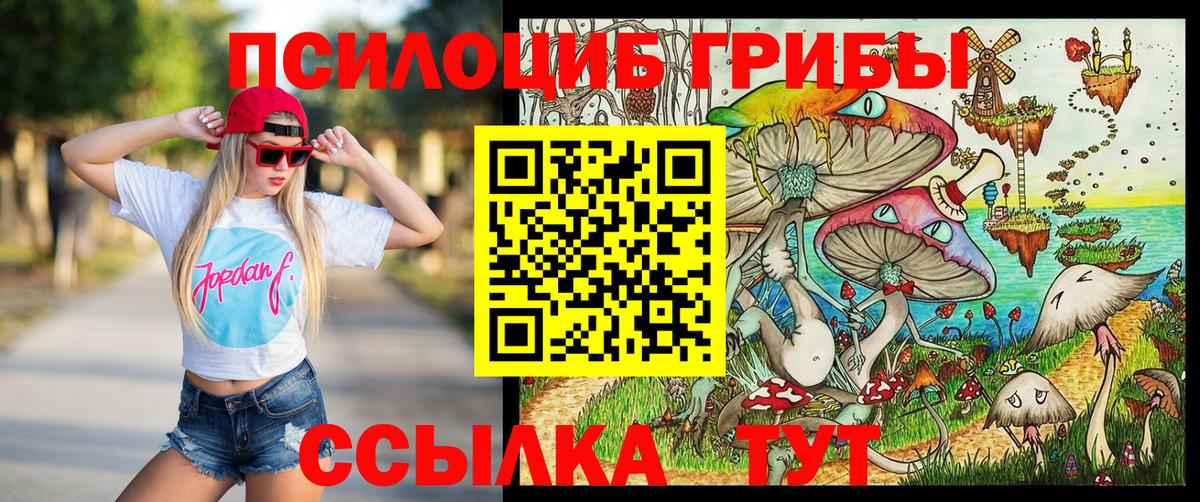 Псилоцибиновые грибы MAGIC MUSHROOMS  Вход с VPN  Псилоцибиновые грибы Psilocybine cubensis  Усть-Илимск 