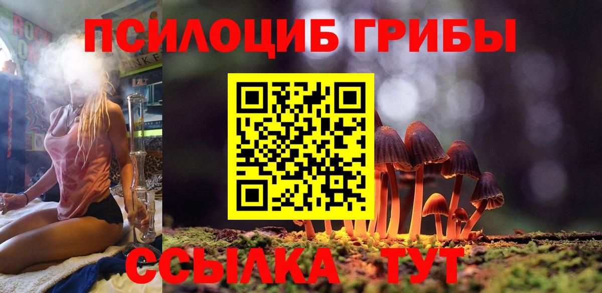 Галлюциногенные грибы GOLDEN TEACHER Усть-Илимск